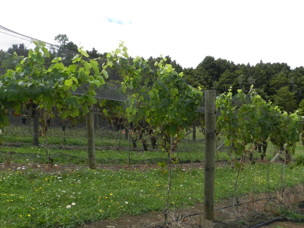 Puketotara Lodge Kerikeri Eksteriør bilde